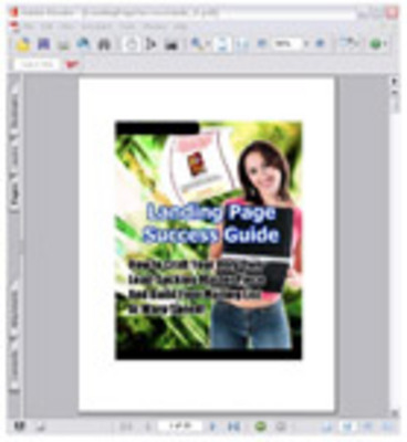 Product picture *New*  Landing Page Success Guide With MRR