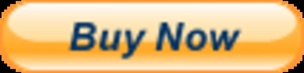 Product picture How To Add A Paypal Button To A Forum Post   