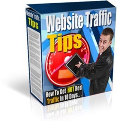 Product picture Website Trafic Tips with mrr