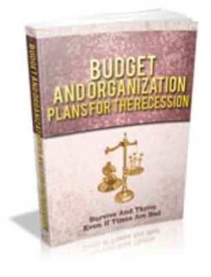 Product picture Budget And Organization Plans For The Recession+mrr